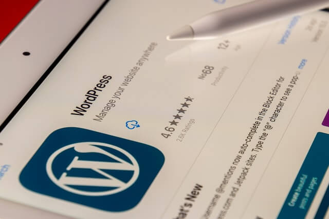 Online Services Website WordPress Filter Skills