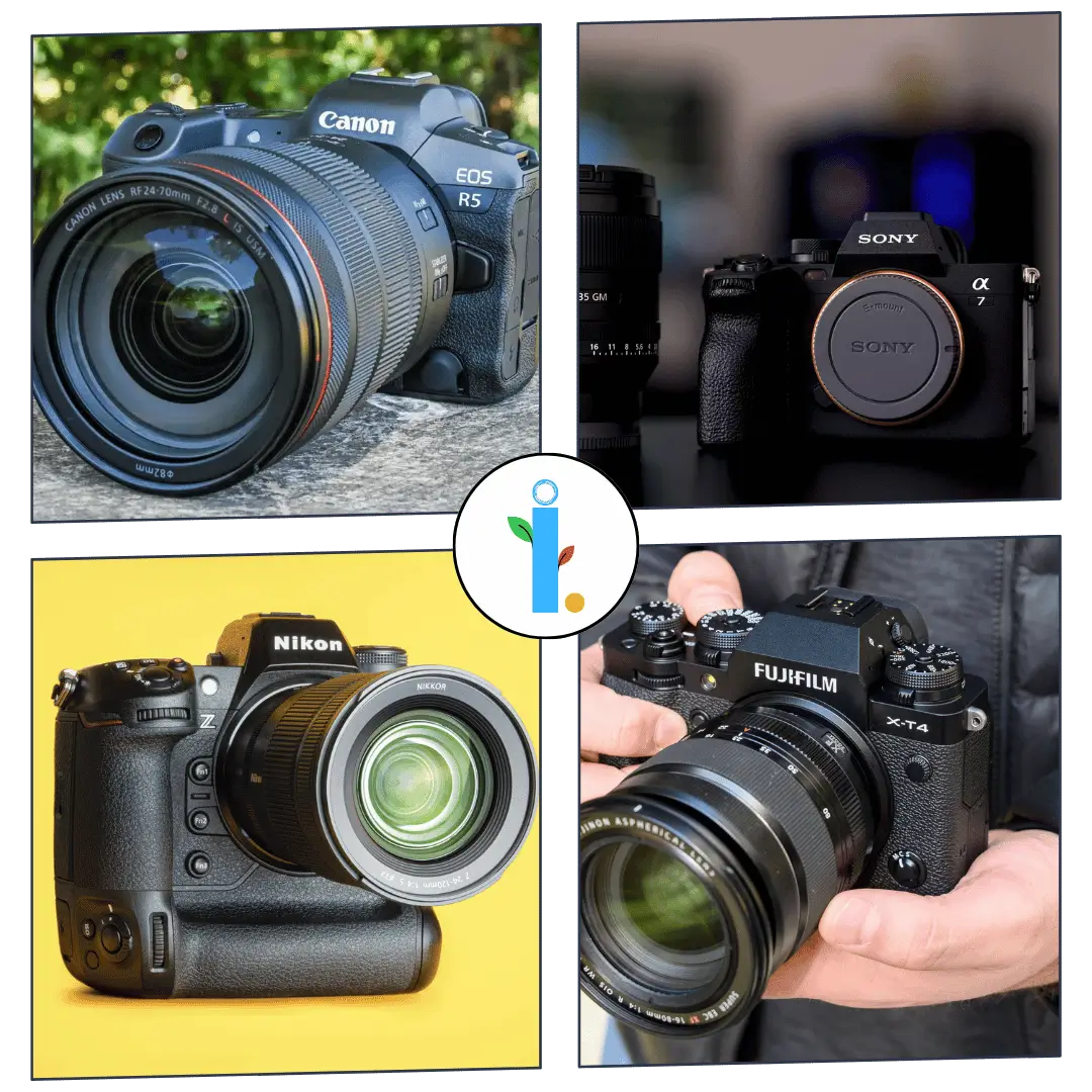 Best Cameras for Photography